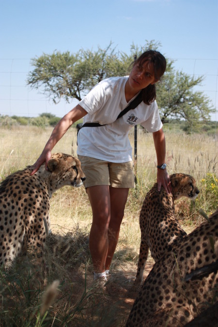 na'an ku se - cheetah enclosure - oh no i'm surrounded....jpg