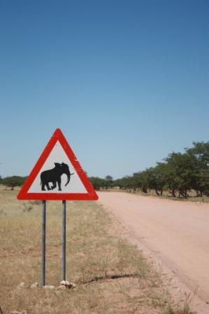 namibia - closest i got to seeing an elephant.jpg
